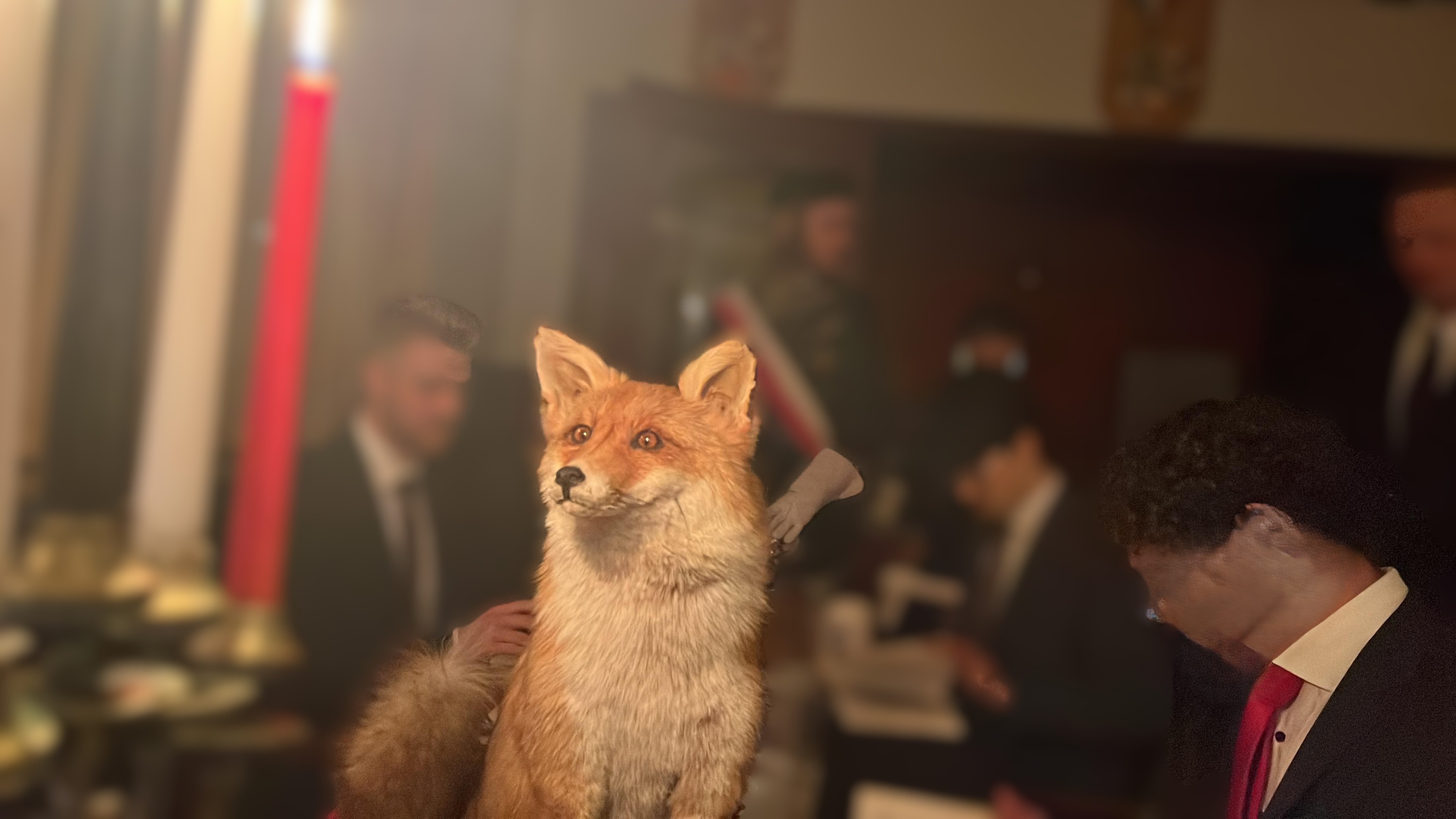 Abbild eines ausgestopften Fuchses in einer Gruppe